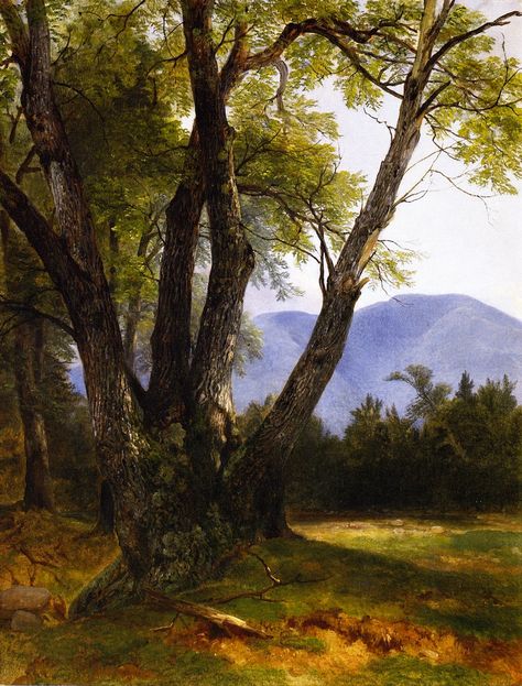 Asher Durand, Hudson River School, Hudson River, New York New York, Historical Society, Oil On Canvas, New York, Canvas, Art