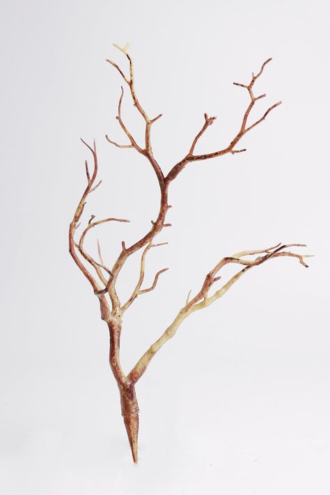 Discover our full range of artificial Tree Branches Material: Iron Wire; Plastic Length: 12" Number of Twigs: 3 Package of 1 Stem Realistic appearance Flexible, odorless, sturdy, wear resistant and not easy to crack or rust, support a long time use Suitable for lots of occasions, like floral decorations, home interiors, garden outings, offices, parties, various festivals. Wabi Sabi Flowers, Artificial Tree Branches, Branch Centerpieces, Diy Flower Boxes, Manzanita Branches, Branches Diy, Peonies And Hydrangeas, Shiva Tattoo, Artificial Flowers And Plants