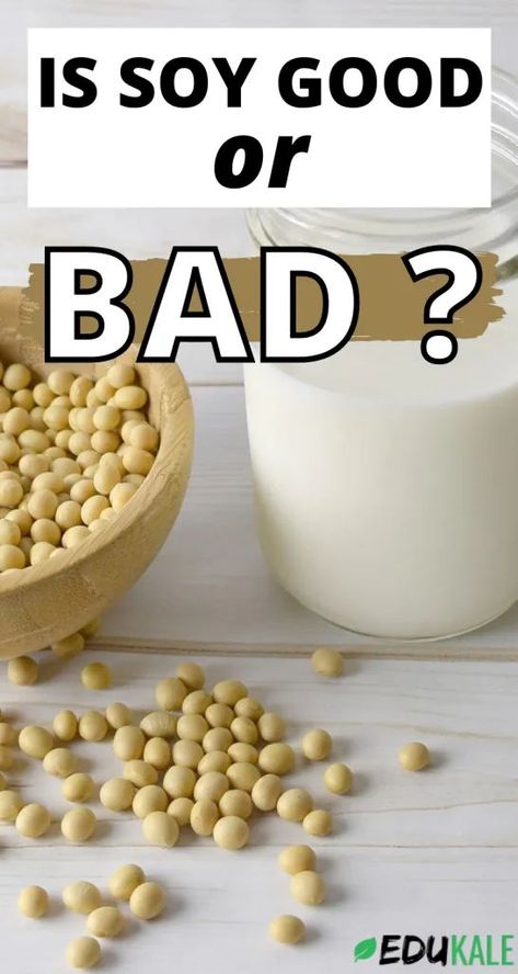 Is soy bad for you? Is soy healthy?Some see soy as a high-protein, nutrient-dense food, see the soy health benefits, and make sure that soy always has a spot on their plate. Others see the soy health concerns, are scared that soy could increase the risk of certain cancers, make men grow breasts, lead to infertility, cause acne… So are there soy health risks? Is soy good for you? Is soy milk bad for you? Is tofu bad for you? Here’s the science on soy: is soy good or bad for your healt Soy Milk Benefits, Soy Recipes, Soy Products, Healthy Benefits, Breast Health, Nutrient Dense Food, Soy Milk, Lower Cholesterol, Healthy Eating Recipes