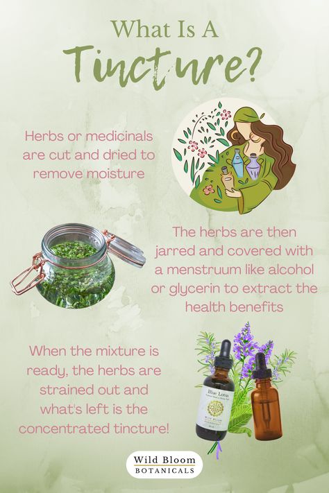 Tinctures vs oil, why we use glycerin instead of alcohol, alcohol-free tinctures Medicinal Tincture Recipes, Mullein Tincture Benefits, Tinctures For Beginners, Rosemary Tincture, Tinctures Recipes, Herbal Education, Herbal Remedies Recipes, Medicinal Herbs Garden, Magickal Herbs