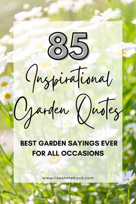 Gardening Sayings And Quotes, Funny Garden Signs Hilarious, Quotes About Gardens, Plants Quotes Life Inspiration, Garden Signs And Sayings, Garden Sayings And Quotes, Garden Quotes Funny, Planting Seeds Quotes, Gardening Quotes Inspirational