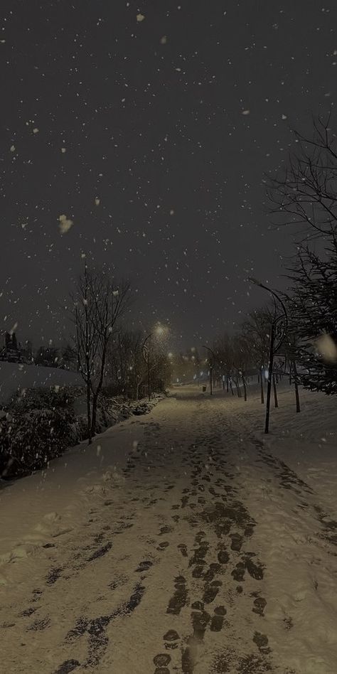 Snowy Neighborhood At Night, Christmas Wallpaper Scenery, Asthetic Pics For Widgets, Christmas Tree Ideas With Snow, Winter Ice Aesthetic, Cold Cozy Aesthetic, Winter Days Aesthetic, Cozy Snow Aesthetic, Slytherin Winter Aesthetic