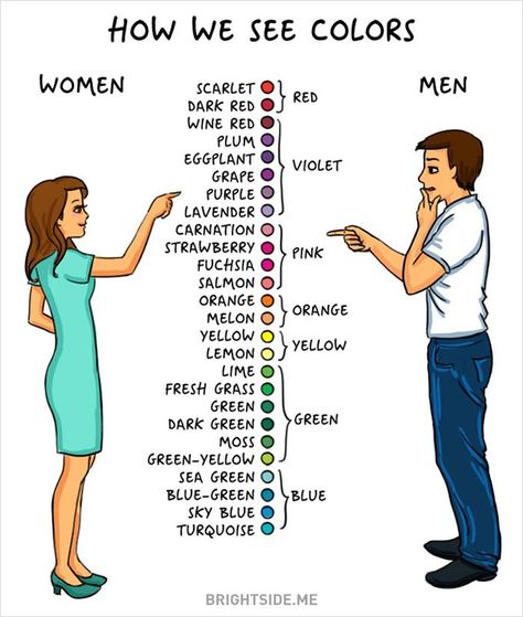 Men vs Women and colors Men Vs Women, रोचक तथ्य, Man Vs, Stay Happy, Color Theme, صور مضحكة, Fun Quotes Funny, English Vocabulary, Just Amazing