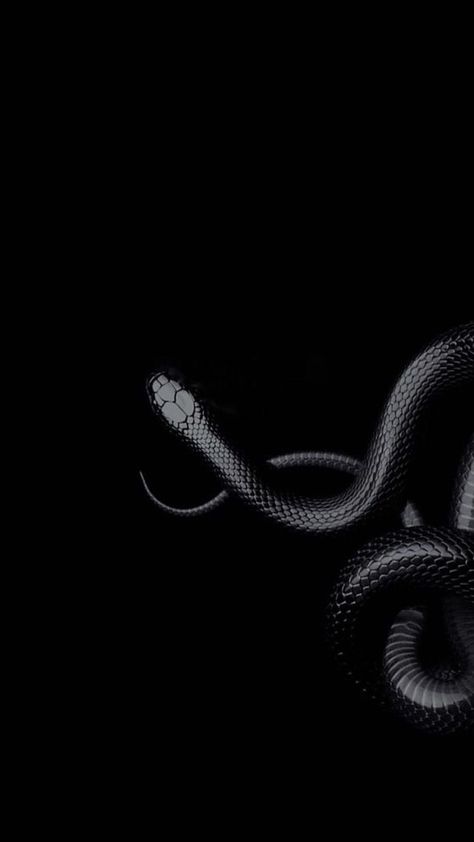 Slytherin Wallpaper, Magic Runes, Snake Wallpaper, Black And White Art Drawing, Snake Art, Minimalist Tattoos, White Tattoo, Black And White Wallpaper, Inspirational Wallpapers