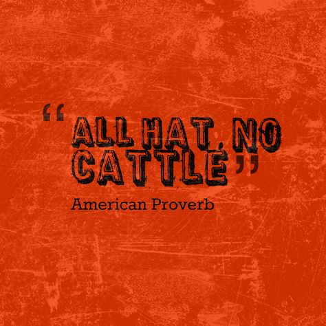 All hat, no cattle. American proverb All Hat No Cattle, Ancient Proverbs, Motivational Bible Quotes, American Proverbs, Strong Motivational Quotes, English Major, Proverbs Quotes, Reading Quotes, Literary Quotes