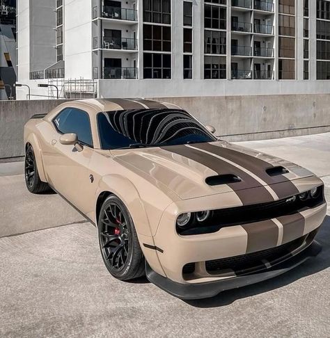 Dodge Challenger Hellcat, Serie Bmw, Dodge Challenger Srt Hellcat, Dodge Muscle Cars, Dodge Challenger Srt, Street Racing Cars, Fancy Cars, Classy Cars, Pretty Cars