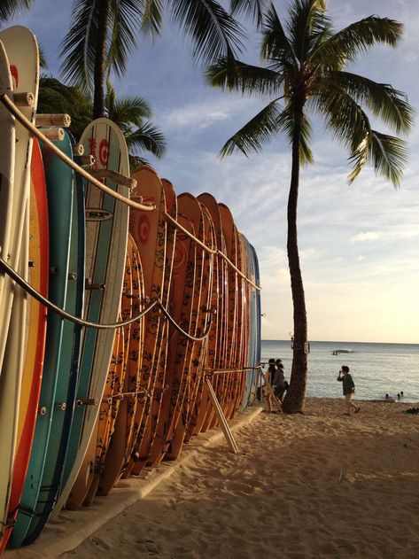 Oahu Wallpaper, Hawaii Hotel, Hotel Background, Hawaii Hotels, Surf Vibes, Same Picture, Beach Background, Waikiki Beach, Summer Backgrounds