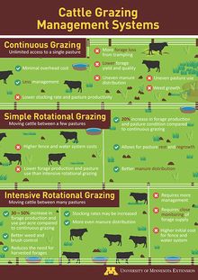 Cattle grazing systems poster thumbnail Pasture Management, Corn And Beans, Dexter Cattle, Cattle Grazing, Cow Pasture, Raising Cattle, Beef Cow, Raising Farm Animals, Cattle Feed