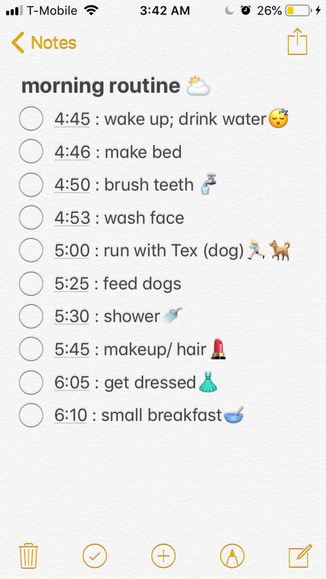 4:45am morning routine! School Morning Routine 4 Am, 4:45 Am Morning Routine, 4 Am Morning Routine, Tooth Caries, Liver Issues, Routine Checklist, School Morning, Bad Teeth, Pediatric Dentist