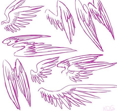 Wings Pose Reference, Wings Poses, How To Draw Wings, Draw Wings, Wings Sketch, Wings Drawing, Wings Art, Drawing Expressions, Concept Art Drawing