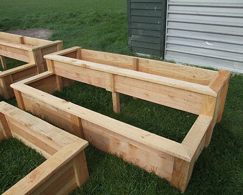 Tiered Garden Raised Garden Bed Fence, Garden Bed Fence, Elevated Raised Garden Beds, Inexpensive Fence, Raised Garden Beds Ideas, Elevated Beds, Garden Beds Ideas, Cheap Garden Beds, Cheap Raised Garden Beds