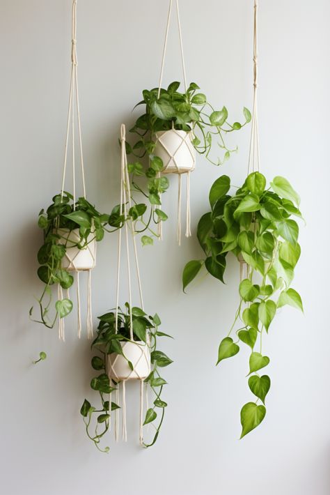 Hanging Plant Ideas to Enhance Your Interior Design - Quiet Minimal Plants Ceiling Hanging, Breakfast Nook Hanging Plants, Hanging Plants On The Wall, Hanging Office Plants, Hanging Plant Bathroom, Plant Esthetics Room, Cute Plant Ideas, House With Plants Aesthetic, Aesthetic Bedroom Ideas Plants