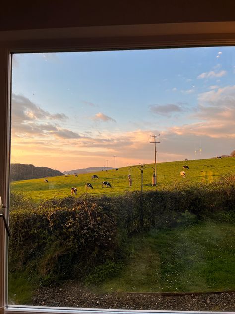 Wales, cows, sunset, welsh view, window view, cozy, travel, farm aesthetic Scotland Farm Aesthetic, Welsh Countryside Aesthetic, Welsh Aesthetic, Wales Aesthetic, Wales Mountains, Wales Country, Goodbye World, Farm Aesthetic, Cozy Travel