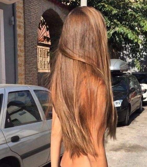 Lightest Brown Hair Color, Lightest Brown Hair, Hairstyles For All Hair Types, Honey Blond, Colour Collection, Pinterest Hair, Dream Hair, Light Brown Hair, Brown Hair Colors