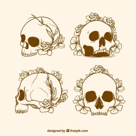 Skull With Plants Drawing, Skull Stack Drawing, Skull Illustration Simple, Skull Flower Illustration, Human Skull Illustration, Skull With Flowers Growing Out Of It, Skull Simple Drawing, Skull Flowers Drawing, Skull And Flower Drawing