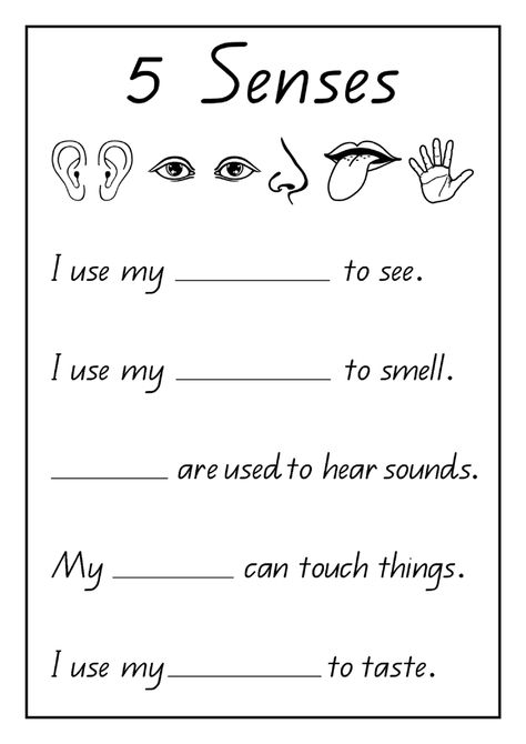 5 Senses Worksheet, Grade R Worksheets, Five Senses Worksheet, Aktiviti Prasekolah, Worksheet Kindergarten, Worksheets For Class 1, English Worksheets For Kindergarten, Grammar For Kids, Kindergarten Reading Worksheets