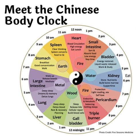 "Meet The Chinese Body Clock: Is This Why You're Waking Up At Night?" The linked article is introductory. If you want to dig more deeply into the topic, check out the longer article on the @fiveseasonsmedicine website. https://thechalkboardmag.com/chinese-body-clock-waking-up-at-night Waking Up At 1am Meaning, Chinese Body Clock, Body Clock, 24 Hour Clock, Yoga Information, Health Tools, Healing Journaling, Clear Thinking, Migraine Headaches