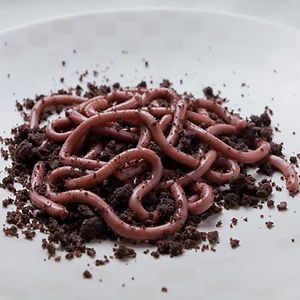 Raspberry Jello Worms On A Bed Of Chocolate Doughnut Crumbs and 19 other Halloween Snacks that look disgusting but taste great. Jello Worms, Gross Halloween Foods, Snack Halloween, Buffet Halloween, Strašidelný Halloween, Scary Halloween Food, Läskig Halloween, Creepy Food, Creepy Halloween Party