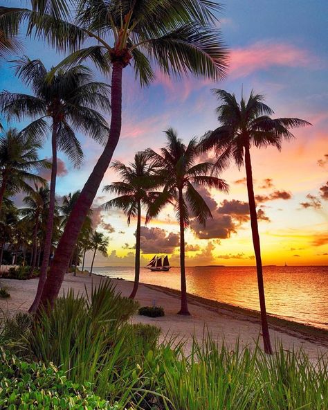 Views of the South on Instagram: “A beautiful sunset in the Florida Keys • 📸@activitymonster • #florida #floridakeys #keywest #keywestflorida #keywestlife #floridakeyslife…” Key West Beach, Florida Vacation Spots, Key West Sunset, Key West Beaches, Beach Sunset Wallpaper, Vacation Goals, Sunset Wallpaper, Island Getaway, Florida Vacation