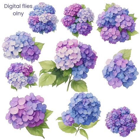 Hydrangea Bush Drawing, Hydrangea Sticker, Hydrangea Drawing, Bush Drawing, Hydrangea Picture, Hydrangea Design, Hydrangea Art, Flower Clipart Png, Flowers Logo