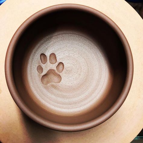 Making some custom dog dishes with a very purposeful #cairnterrier print 😁 #redclay #dogbowl Dog Bowls Pottery Ideas, Dog Plate Ceramic, Dog Ceramic Ideas, Dog Pottery Ideas, Pottery Dog Bowl Ideas, Ceramic Key Bowl, Ceramic Dog Bowls Pottery, Pottery Dog Bowls, Dog Ceramic Bowl