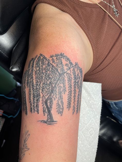 Weeping Willow Tree Tattoo, Dopamine Tattoo, Willow Tree Tattoo, Tattoos 2024, Willow Tree Tattoos, Acrylic Ideas, Tattoo Board, Weeping Willow, American Traditional Tattoo