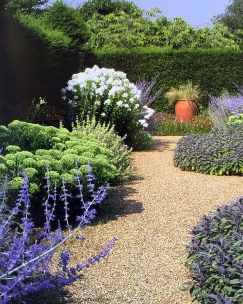 Gravel Walkway Ideas, Landscape Gravel, Big Leaf Plants, Gravel Walkway, Gravel Landscaping, Driveway Ideas, Court Yard, Walkway Landscaping, Walkway Design