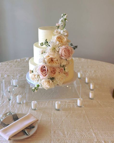 🌸✨ Elevate your special day with our elegant simple wedding cake with blush florals from Barnett Sweets & Co.! 🌸✨ Delicate blush flowers beautifully adorn a classic, timeless cake, adding a touch of romance and sophistication to your celebration. Venue: @themilestonedenton #WeddingCake #BlushFlorals #BarnettSweets #ElegantWeddings #SimpleWeddingCake #WeddingInspiration #WeddingDesserts #BeautifulCakes Elegant Simple Wedding, Dream Wedding Cake, Simple Elegant Wedding, Simple Wedding Cake, Elegant Wedding Cakes, Blush Flowers, Wedding Desserts, Simple Wedding, Beautiful Cakes