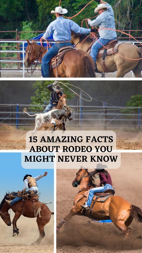 it’s a fun and competitive sporting event that’s ingrained in their culture. Therefore, to know more about this sport, we will reveal some interesting facts about rodeo you probably didn’t know. #awesomefacts #awesomefactsunbelievable #awesomefactsmindblowing #awesomefactsforkids #doyouknowfactsawesome #unbelievablefactsmindblowingawesome Rodeo Pictures, Miss Rodeo America, Pbr Bull Riders, Saddle Bronc Riding, Cheyenne Frontier Days, Action Board, Bareback Riding, Saddle Bronc, Dangerous Sports