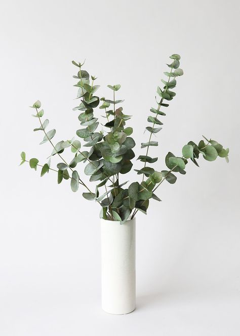 Artificial Greenery Spiral Eucalyptus Eucalyptus Aesthetic, Spiral Eucalyptus, Greenery Arrangements, Artificial Leaves, Greenery Decor, Eucalyptus Branches, Eucalyptus Leaf, Faux Greenery, Artificial Leaf