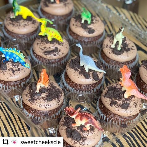 3rd Dinosaur Birthday Cake, Dinosaur Birthday Treats For School, Dino Party Cupcakes, Jurassic Park Party Cupcakes, Mini Dinosaur Cupcakes, Dinosaur Fossil Cupcakes, Dinosaur Cake Cupcakes, Dinosaur Cake And Cupcakes, Easy Dino Cupcakes