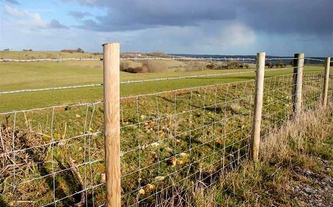 Farm Fencing Cost 2021 Horse Farm Layout, Hog Wire Fence, Farm Fencing, Timber Fence, Agricultural Fencing, Livestock Fence, Outdoor Yard Ideas, Post And Rail Fence, Pasture Fencing