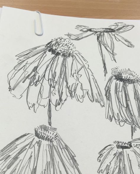 iss🌟 on Instagram: flowers in sandford park🌸💐 pencil  drawing scribble abstract flowers art alevel a level textiles art Scribble Art Flowers, Scribble Journal, Flower Scribble, Scribbling Art, Scribble Flowers, Drawing Scribble, Scribble Sketch, Drawings Inspo, Alevel Art