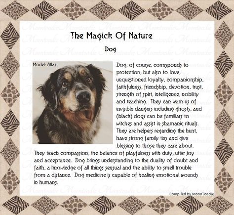 Dogs In Witchcraft, Dog Witchcraft, Witchy Notebook, Dog Whiskers, Spiritual Animals, Native American Zodiac, Nature Dog, Spiritual Animal, Animal Spirit Guides