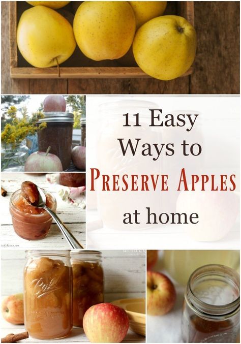 Don’t stress about your apples going bad when they start falling from the tree. Here you will find 11 ideas on what to do with a bountiful apple harvest. Ideas all include instructions and recipes too! #apples #harvest #applerecipes Preserve Apples, Preserving Apples, Canned Applesauce, Canning Apples, Freezing Apples, Canning Fruit, Canned Foods, Canned Apples, Harvest Recipes