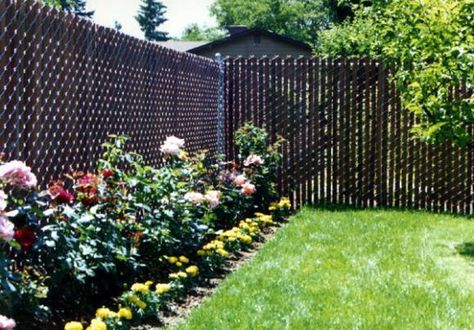 What To Do With A Chain Link Fence - A Storied Style Chain Link Fence Cover, Chain Link Fence Privacy, Black Chain Link Fence, Cyclone Fence, Chain Fence, Privacy Fence Designs, Cheap Fence, Garden Privacy, Garden Ideas Cheap