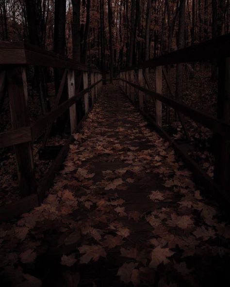 Brown Forest Aesthetic, Mahogany Aesthetic, Dark Forest Aesthetic, Scenic Wallpaper, Autumn Magic, Dark Autumn, Black Phone Wallpaper, 22 December, Fallen Leaves