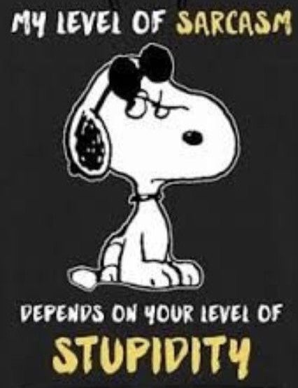 8c3 Being 8c3 🤪 #8c3v3do #8c3being8c3 #8c3belike #8c3flow #8c3selfie #johnnybeingjohnny #pnts Snoopy Gifs, Peanuts Quotes, Talking To Myself, Inspirerende Ord, Snoopy Funny, 9gag Funny, Snoopy Quotes, Snoopy Pictures, Snoopy Love