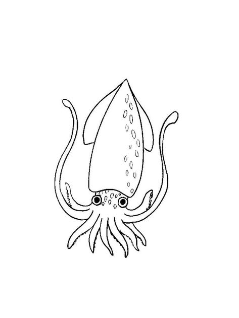 Squid Cute Printable Squid Coloring Page, Squid Drawing Simple, Squid Doodle, Sourdough Art, Coloring Pictures Of Animals, Squid Drawing, Cute Squid, Squid Tattoo, Snake Coloring Pages