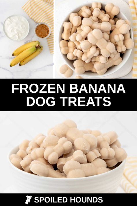 Frozen Dog Treats Homemade Peanut Butter Yogurt Banana, Probiotic Frozen Yogurt Dog Treats, Dog Cold Treats, Frozen Banana Dog Treats, Frozen Dog Enrichment, Frozen Enrichment Treats For Dogs, Puppy Popsicles Frozen Dog Treats, Toppl Dog Recipes, Dog Frozen Treats