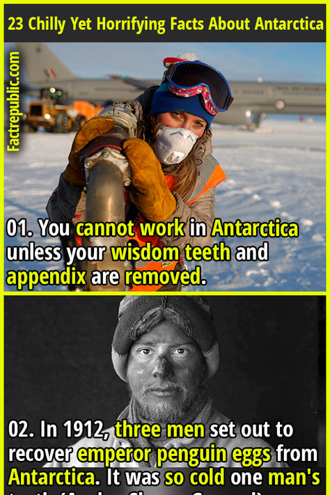 01. You cannot work in Antarctica unless your wisdom teeth and appendix are removed. #antarctica #country #travel #living #world #adventure #science #knowledge #education #weather #climate Crazy History Facts, Crazy Facts Mind Blowing, Random Facts Interesting, Weird Science Facts, Random Useless Facts, Random Fun Facts, Everything Popular, Daily Fun Facts, Science Knowledge