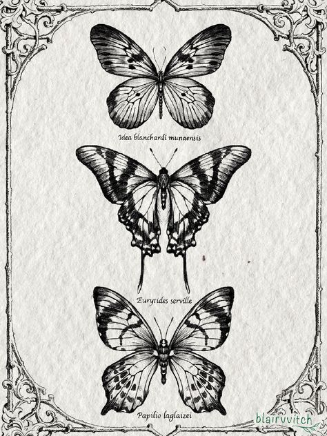 Woodcut Butterfly, Vintage Butterfly Tattoo, Butterfly Tattoos Images, Harry Tattoos, Butterfly Sketch, Insect Tattoo, Mommy Tattoos, Wings Drawing, Moth Tattoo