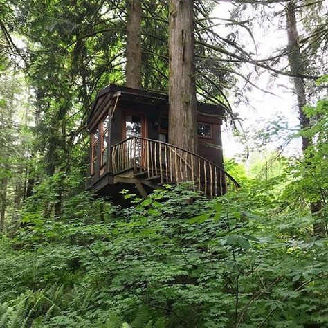 Good morning, treehouse lovers! It’s going to be a beautiful day! 💚 . #treehouse #treehouses #beinatree #sleepinatree #treehousepoint #treehousemasters #nelsontreehouse #petenelson #treehousegoals #treehousepoint #treehousemasters #getaway #staycation #forest #lush #nature #greenery #getbacktonature #tinyspaces #beinatreehouse #bonbibi #bonbibitreehouse Wedding Venues Washington State, Treehouse Wedding, Treehouse Point, Washington Wedding Venues, Wedding Guest Outfit Winter, Pastel Wedding Flowers, Sunflower Wedding Bouquet, Bridal Shower Centerpieces, Sparkle Wedding