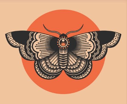 Moth tattoo Traditional Moth, Moth Tattoo Design, 16 Tattoo, Tattoos Geometric, Moth Tattoo, Tattoo Traditional, College Dorm Room, Skin Art, Old School Tattoo