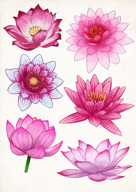 Decorazioni Flower Studies, Lotus Flower Drawing, Pink Lotus Flower, Mandala Lotus, Lotus Flower Mandala, Lotus Flower Art, Lotus Painting, Desen Realist, Lotus Art