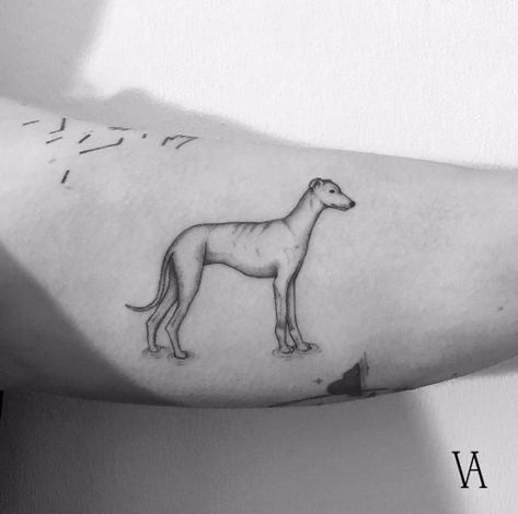 The 15 Most Creative Greyhound Tattoos - The Paws Redwood Tattoo, Greyhound Tattoo, Minimalist Tattoo Meaning, Minimalistic Tattoos, Paris Tattoo, Typography Tattoo, French Tattoo, Special Tattoos, Delicate Tattoo