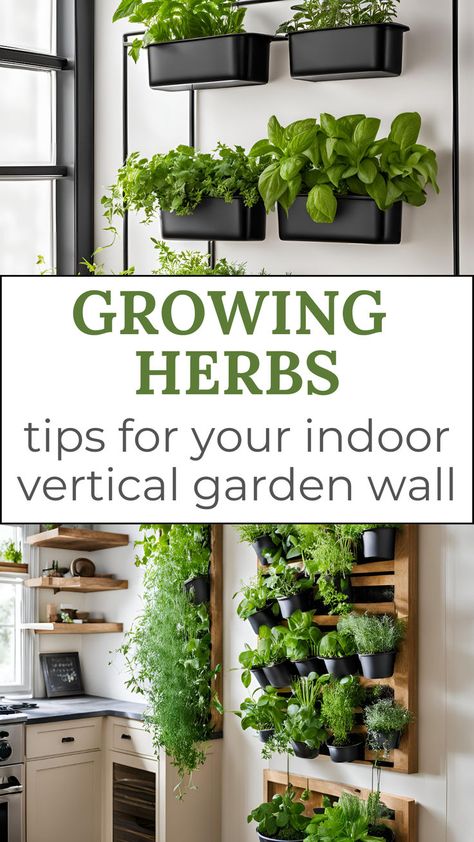 Growing Herbs - Tips for Your Indoor Vertical Garden Wall. Images of vertical herb gardens. Indoor Herb Garden Wall Kitchens, Indoor Plant Shelves With Grow Lights, Winter Herbs Indoor, Dining Room Herb Garden, Hydroponic Wall Indoor, Fresh Herb Wall Kitchen, Indoor Herbal Garden Ideas, Food Plants To Grow Indoors, Vertical Garden Wall Indoor Kitchen Herbs