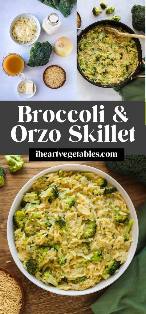 This Broccoli and Orzo Skillet is a delicious one-pan dinner that cooks in just 20 minutes! It's creamy, cheesy, and loaded with vegetables for a healthy, filling meal. Brocoli Orzo Recipes, Dinners With Vegetables Healthy, One Pot Meals With Broccoli, Vegetable Loaded Dinner, Zucchini Brocolli Recipes, Kale Broccoli Recipes, Orzo Broccoli Salad, Quick And Easy Orzo Recipes, Meals With Broccoli And Cauliflower