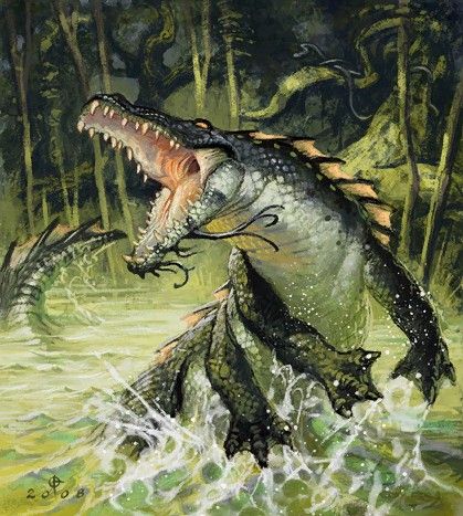 A crocolisk is a long-snouted reptile with six short legs and a long tail that bears much resemblance to basilisks or the real-life crocodiles. Crocolisks are powerful amphibious predators common in most regions of Azeroth, attacking unwary adventurers sailing their waterways. Crocolisks are usually found near bodies of water such as rivers, marshes and lakes.     Copyright 2010-2018 Blizzard Entertainment Alligators Art, River Monsters, Dark Sun, Heroic Fantasy, Dnd Monsters, Monster Concept Art, Alien Creatures, Fantasy Creatures Art, Fantasy Monster