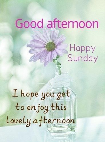 Good Afternoon Sunday Quotes, Happy Sunday Afternoon Quotes, Good Afternoon Sunday Blessings, Sunday Afternoon Greetings, Sunday Afternoon Blessings, Good Afternoon Happy Sunday, Sunday Afternoon Quotes, Good Afternoon Sunday, Happy Sunday Afternoon